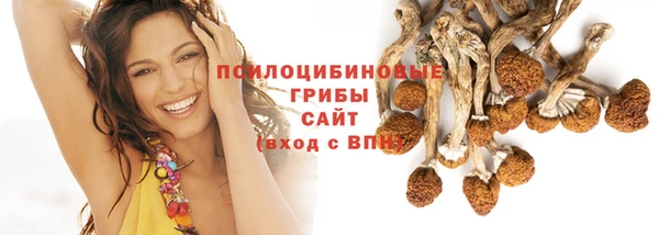 гашик Абаза