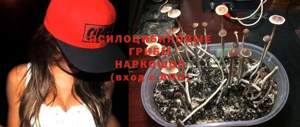 спиды Абинск