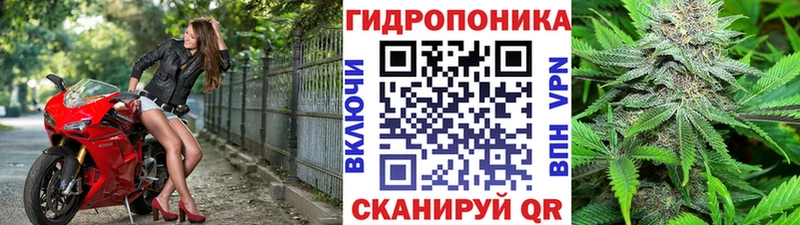 Конопля OG Kush  дарнет шоп  Краснокамск 